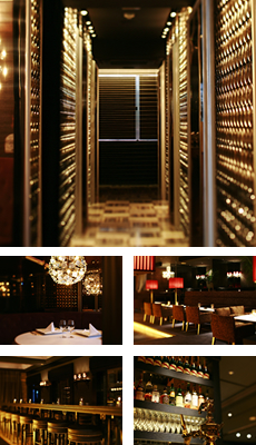 �C���[�W�ʐ^